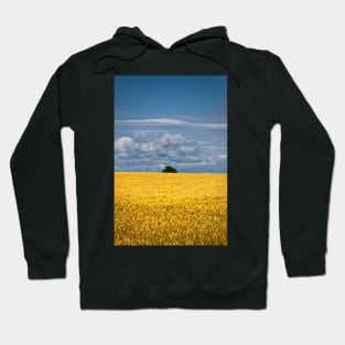 Golden harvest and blue sky Hoodie